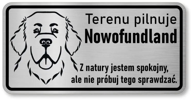 Nowofundland 2.JPG