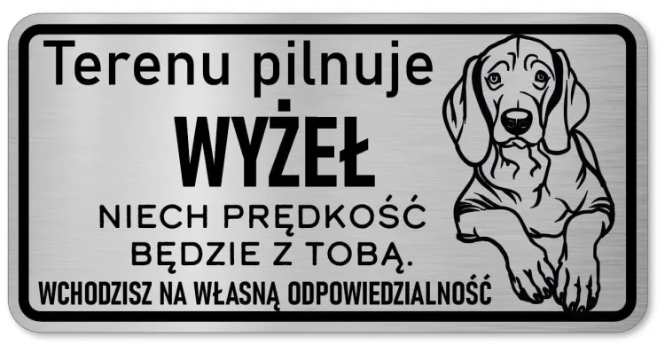 Wyżeł 1.JPG