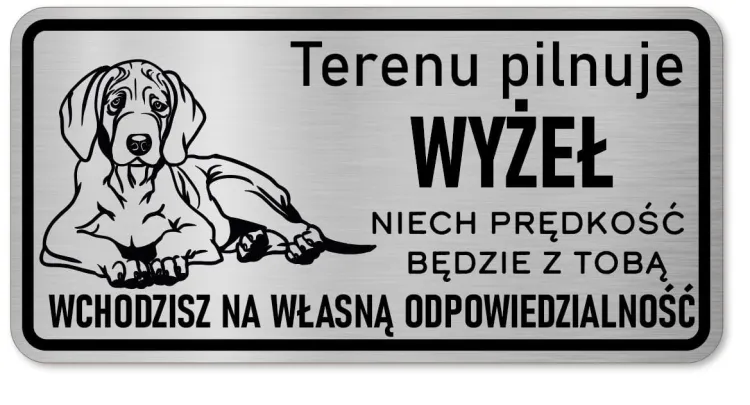 Wyżeł 12.JPG