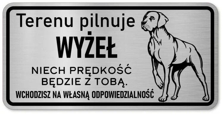 Wyżeł 3.JPG