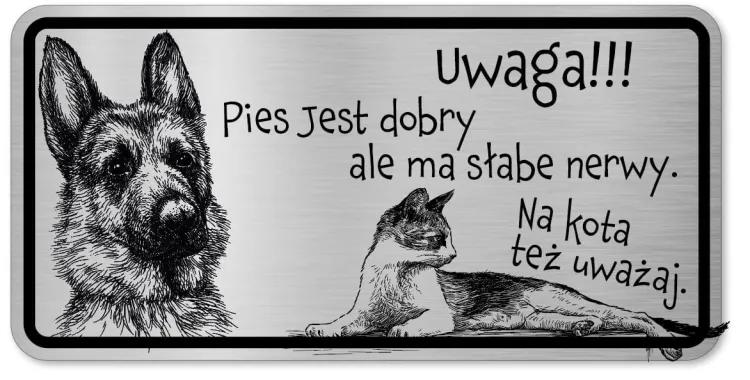 Pies i kot  2.JPG