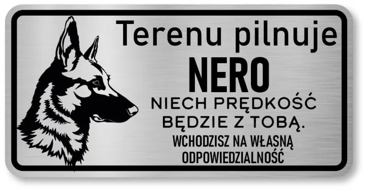 Owczarek Belgijski 3.JPG