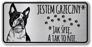 Tabliczka informacyjna na bramę uwaga pies -  Boston Terrier 