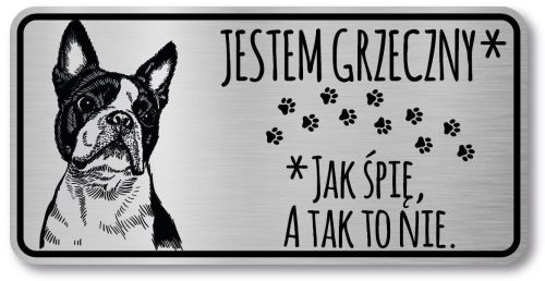 Tabliczka informacyjna na bramę uwaga pies -  Boston Terrier 