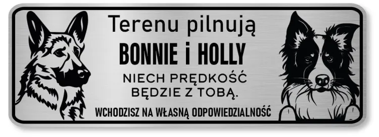 Bonny i Holly 2.JPG