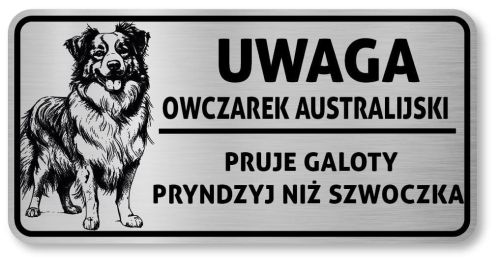 Tabliczka uwaga pies Owczarek  Australijski 