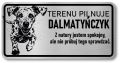 Tabliczka ostrzegawcza - Uwaga pies Dalmatyńczyk