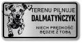 Tabliczka ostrzegawcza - Uwaga pies Dalmatyńczyk