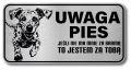 Tabliczka ostrzegawcza - Uwaga pies Dalmatyńczyk