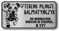 Tabliczka ostrzegawcza - Uwaga pies Dalmatyńczyk