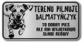 Tabliczka ostrzegawcza - Uwaga pies Dalmatyńczyk