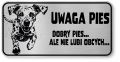 Tabliczka ostrzegawcza - Uwaga pies Dalmatyńczyk