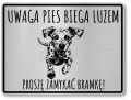Tabliczka ostrzegawcza - Uwaga pies Dalmatyńczyk