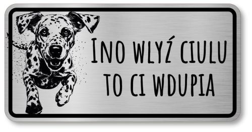 Tabliczka ostrzegawcza - Uwaga pies Dalmatyńczyk po śląsku