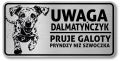 Tabliczka ostrzegawcza - Uwaga pies Dalmatyńczyk po śląsku