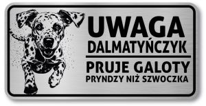 Tabliczka ostrzegawcza - Uwaga pies Dalmatyńczyk po śląsku