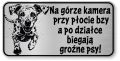 Tabliczka ostrzegawcza - Uwaga pies Dalmatyńczyk śmieszna