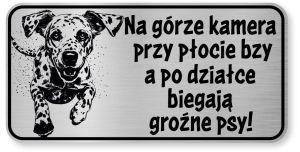 Tabliczka ostrzegawcza - Uwaga pies Dalmatyńczyk śmieszna
