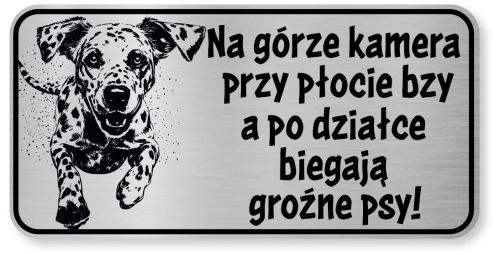 Tabliczka ostrzegawcza - Uwaga pies Dalmatyńczyk śmieszna