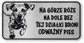 Tabliczka ostrzegawcza - Uwaga pies Dalmatyńczyk śmieszna