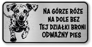 Tabliczka ostrzegawcza - Uwaga pies Dalmatyńczyk śmieszna