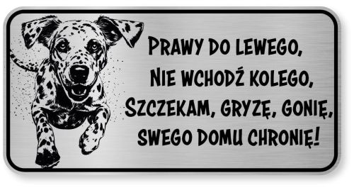 Tabliczka ostrzegawcza - Uwaga pies Dalmatyńczyk śmieszna