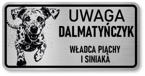 Tabliczka ostrzegawcza - Uwaga pies Dalmatyńczyk śmieszna