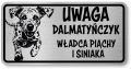 Tabliczka ostrzegawcza - Uwaga pies Dalmatyńczyk śmieszna