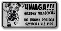 Tabliczka ostrzegawcza - Uwaga pies Dalmatyńczyk śmieszna