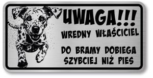 Tabliczka ostrzegawcza - Uwaga pies Dalmatyńczyk śmieszna