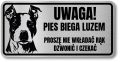 Tabliczka ostrzegawcza - Uwaga pies AMSTAFF