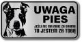 Tabliczka ostrzegawcza - Uwaga pies AMSTAFF