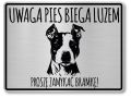 Tabliczka ostrzegawcza - Uwaga pies AMSTAFF