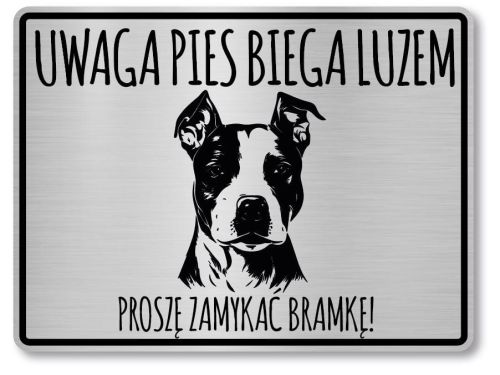 Tabliczka ostrzegawcza - Uwaga pies AMSTAFF