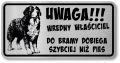 Tabliczka ostrzegawcza Uwaga pies BERNEŃSKI PASTERSKI berneńczyk śmieszna