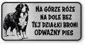 Tabliczka ostrzegawcza Uwaga pies BERNEŃSKI PASTERSKI berneńczyk śmieszna