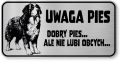 Tabliczka ostrzegawcza - Uwaga pies BERNEŃSKI PIES PASTERSKI berneńczyk