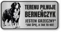 Tabliczka ostrzegawcza - Uwaga pies BERNEŃSKI PIES PASTERSKI berneńczyk