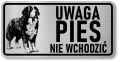 Tabliczka ostrzegawcza - Uwaga pies BERNEŃSKI PIES PASTERSKI berneńczyk