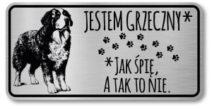 Tabliczka ostrzegawcza - Uwaga pies BERNEŃSKI PIES PASTERSKI berneńczyk