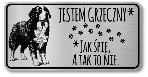 Tabliczka ostrzegawcza - Uwaga pies BERNEŃSKI PIES PASTERSKI berneńczyk