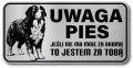 Tabliczka ostrzegawcza - Uwaga pies BERNEŃSKI PIES PASTERSKI berneńczyk