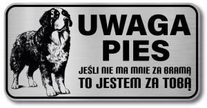 Tabliczka ostrzegawcza - Uwaga pies BERNEŃSKI PIES PASTERSKI berneńczyk