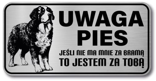 Tabliczka ostrzegawcza - Uwaga pies BERNEŃSKI PIES PASTERSKI berneńczyk