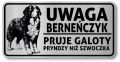 Tabliczka ostrzegawcza  Uwaga pies BERNEŃSKI PASTERSKI berneńczyk po śląsku