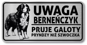 Tabliczka ostrzegawcza  Uwaga pies BERNEŃSKI PASTERSKI berneńczyk po śląsku