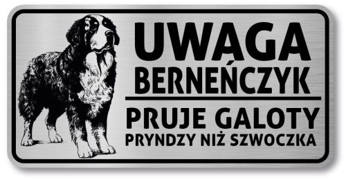 Tabliczka ostrzegawcza  Uwaga pies BERNEŃSKI PASTERSKI berneńczyk po śląsku