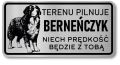 Tabliczka ostrzegawcza - Uwaga pies BERNEŃSKI PIES PASTERSKI berneńczyk