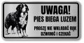 Tabliczka ostrzegawcza - Uwaga pies BERNEŃSKI PIES PASTERSKI berneńczyk