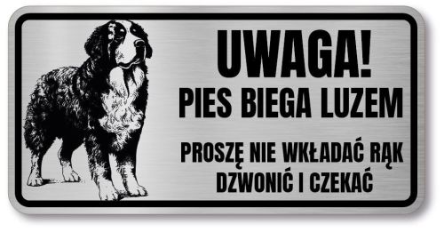 Tabliczka ostrzegawcza - Uwaga pies BERNEŃSKI PIES PASTERSKI berneńczyk